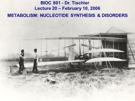 BIOC 801 - Dr. Tischler Lecture 20 – February 10, 2006 METABOLISM: NUCLEOTIDE SYNTHESIS & DISORDERS.