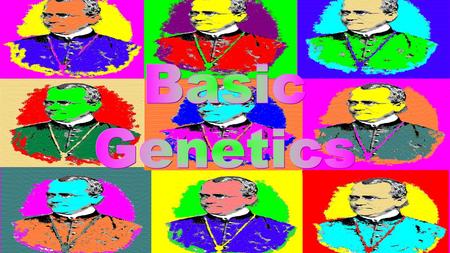 DNA in a Normal Cell (one chromosome from each parent) Allele Allele  A version of a gene Dominant Dominant  Allele that may mask the presence of another.