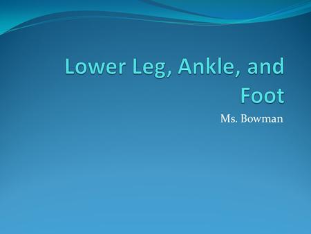 Lower Leg, Ankle, and Foot