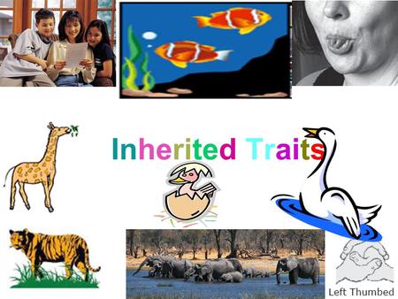 Inherited Traits.