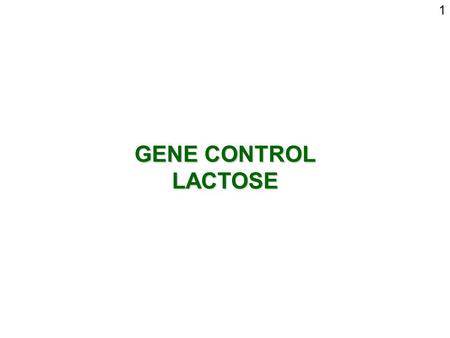 1 GENE CONTROL LACTOSE.