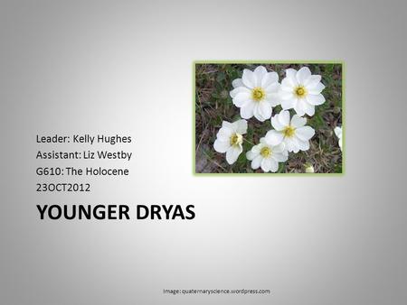 YOUNGER DRYAS Leader: Kelly Hughes Assistant: Liz Westby G610: The Holocene 23OCT2012 Image: quaternaryscience.wordpress.com.