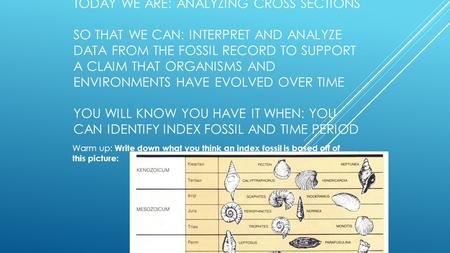 TODAY WE ARE: ANALYZING CROSS SECTIONS SO THAT WE CAN: INTERPRET AND ANALYZE DATA FROM THE FOSSIL RECORD TO SUPPORT A CLAIM THAT ORGANISMS AND ENVIRONMENTS.