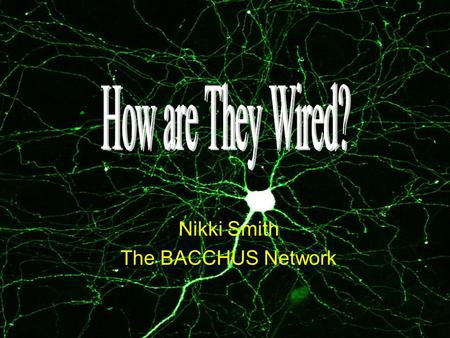 Nikki Smith The BACCHUS Network. “I see no hope for our future if we depend on the frivolous youth of today, for certainly all youth are reckless beyond.