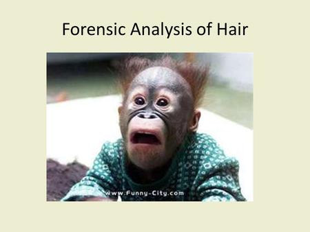 Forensic Analysis of Hair