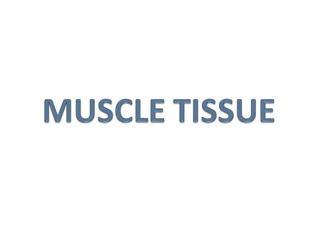 MUSCLE TISSUE.