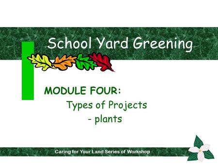 School Yard Greening MODULE FOUR: Types of Projects - plants Caring for Your Land Series of Workshops Caring for Your Land Series of Workshop.