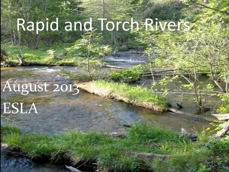 Rapid and Torch Rivers August 2013 ESLA. Issue: Increasing Sediment 1993 – Aarwood to Torch River.