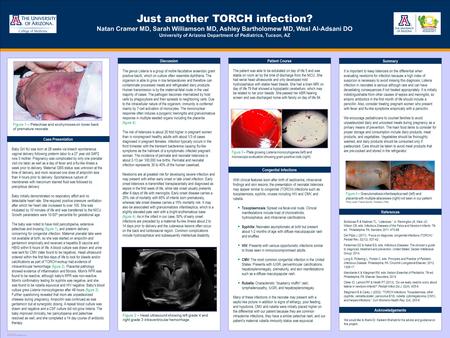 TEMPLATE DESIGN © 2008 www.PosterPresentations.com Just another TORCH infection? Natan Cramer MD, Sarah Williamson MD, Ashley Bartholomew MD, Wasl Al-Adsani.