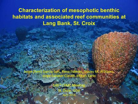 Characterization of mesophotic benthic habitats and associated reef communities at Lang Bank, St. Croix Jorge (Reni) García-Sais, Rene Esteves, Stacey.