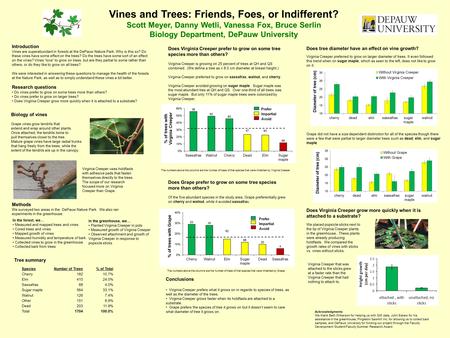 Does Virginia Creeper grow more quickly when it is attached to a substrate? Does Virginia Creeper prefer to grow on some tree species more than others?