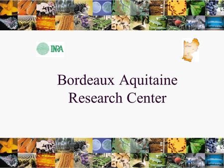 1 Bordeaux Aquitaine Research Center. INRA RESEARCH INSTITUTE 21 Research Centers INRA AQUITAINE.