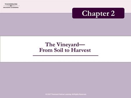 The Vineyard— From Soil to Harvest © 2007 Thomson Delmar Learning. All Rights Reserved. Chapter 2.