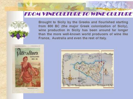 Brought to Sicily by the Greeks and flourished starting from 800 BC (the major Greek colonization of Sicily), wine production in Sicily has been around.