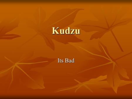 Kudzu Its Bad. Kudzu