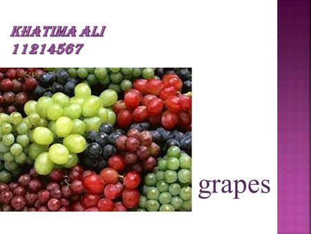 KHATIMA ALI 11214567 grapes.