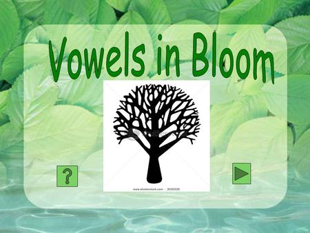 Directions Read the word Choose if the word has a long vowel or short vowel sound If it has a long sound choose the rule that it follows Build a tree.