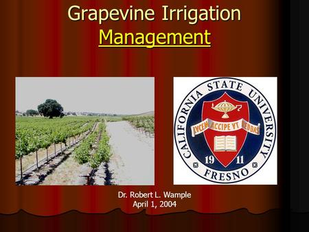 Grapevine Irrigation Management Dr. Robert L. Wample April 1, 2004.