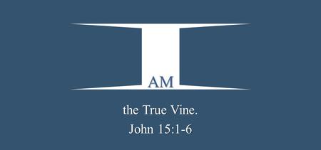 AM the True Vine. John 15:1-6. Romans 12:4-5 4 For as we have many members in one body, but all the members do not have the same function, 5 so we, being.