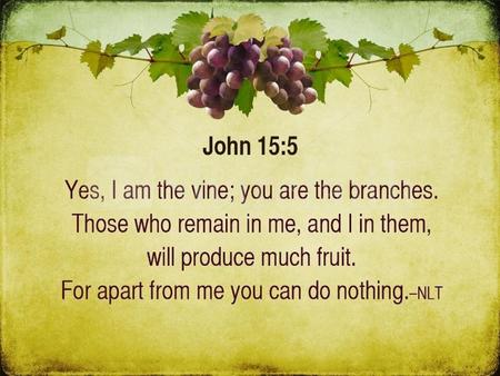 Growth in the Vineyard John 15:1-8, 16-17 Vines are interesting They grow differently They need care Direction The right soil The right moisture and temperature.