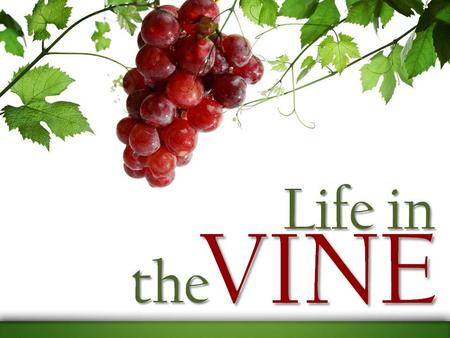 Abide in Me, and I in you. As the branch cannot bear fruit of itself, unless it abides in the vine, neither can you, unless you abide in Me. John 15:4.