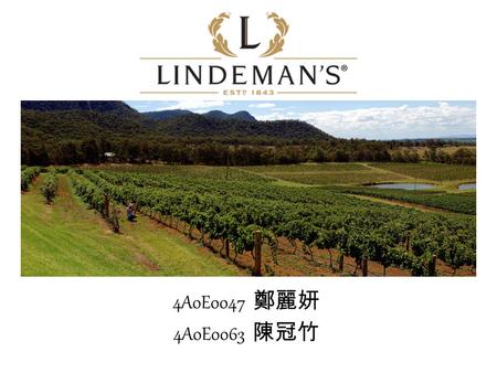 4A0E0047 鄭麗妍 4A0E0063 陳冠竹. Wines COONAWARRA TRIO PREMIER SELECTION CAWARRA BINS.