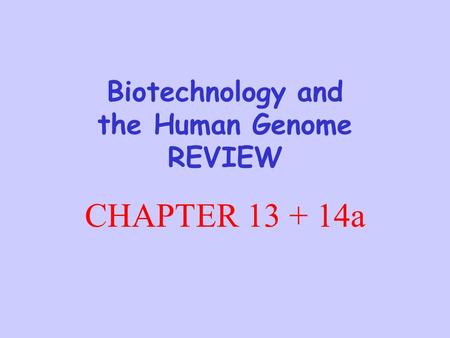 Biotechnology and the Human Genome REVIEW CHAPTER 13 + 14a.