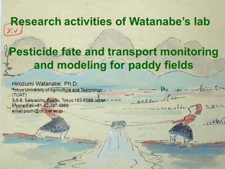 1 Pesticide fate and transport monitoring and modeling for paddy fields Hirozumi Watanabe, Ph.D. Tokyo University of Agriculture and Technology (TUAT)