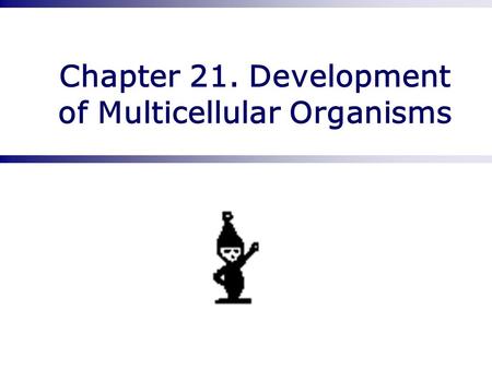 Chapter 21. Development of Multicellular Organisms