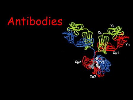 Antibodies.