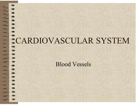 CARDIOVASCULAR SYSTEM