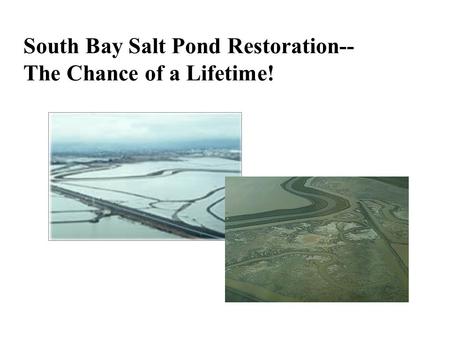 South Bay Salt Pond Restoration-- The Chance of a Lifetime!