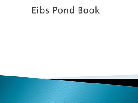  Pg 3-14 Wet Land Animals ◦ Female bullfrog ◦ Butterfly ◦ Snapping Turtle ◦ The Read-Eared Slider ◦ Dragon Fly ◦ May Fly ◦ Water Scorpion ◦ Water Boatmen.