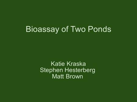 Bioassay of Two Ponds Katie Kraska Stephen Hesterberg Matt Brown.