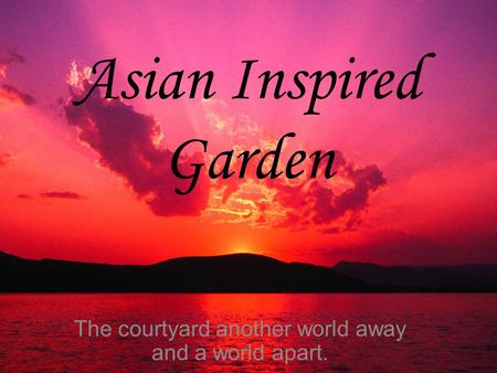 Asian Inspired Garden The courtyard another world away and a world apart.