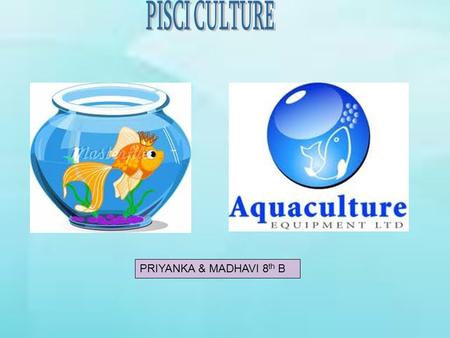 PRIYANKA & MADHAVI 8 th B. FISH IS ONE OF THE MOST IMPORTANT SOURCE OF FOOD FOR MAN SINCE SEVERAL THOUSANDS OF YEARS. FISHES ARE THE BEST SOURCE OF PROTIEN.