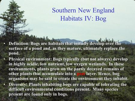 Southern New England Habitats IV: Bog Definition: Bogs are habitats that initially develop over the surface of a pond and, as they mature, ultimately.