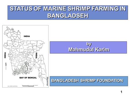 1 STATUS OF MARINE SHRIMP FARMING IN BANGLADSEH BANGLADESH SHRIMP FOUNDATION by Mahmudul Karim by Mahmudul Karim.