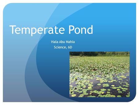 Temperate Pond Hala Abu Nahia Science, 6D. What is a Temperate Pond? A Temperate Pond is a very clean, well-flittered Pond. It is shallow enough to support.