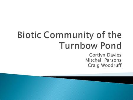 Cortlyn Davies Mitchell Parsons Craig Woodruff.  Zooplankton ◦ Regulate algal population and control algal blooms. ◦ Important food source for planktivorous.