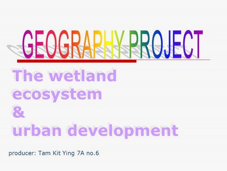 The wetland ecosystem & urban development producer: Tam Kit Ying 7A no.6.