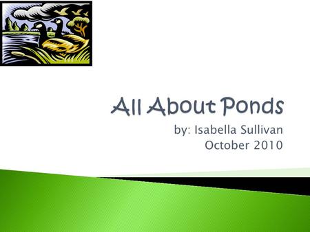 by: Isabella Sullivan October 2010 Definition: A Pond is a body of water. The sun can warm the pond so roots and plants can grow. Climate: The water.