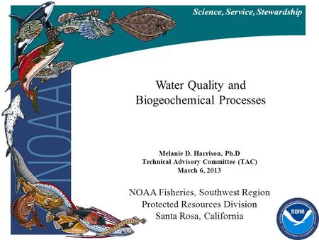 Melanie D. Harrison, Ph.D Technical Advisory Committee (TAC) March 6, 2013 NOAA Fisheries, Southwest Region Protected Resources Division Santa Rosa, California.