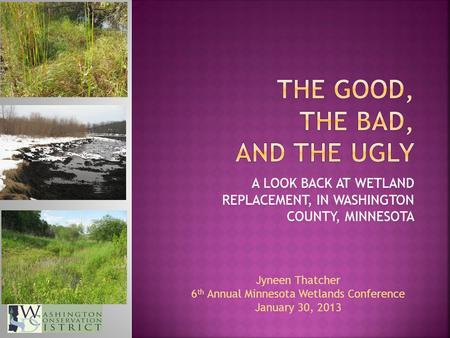 A LOOK BACK AT WETLAND REPLACEMENT, IN WASHINGTON COUNTY, MINNESOTA Jyneen Thatcher 6 th Annual Minnesota Wetlands Conference January 30, 2013.