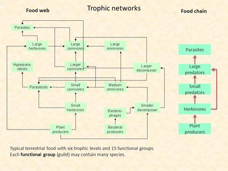 Trophic networks Typical terrestrial food with six trophic levels and 15 functional groups. Each functional group (guild) may contain many species. Plant.