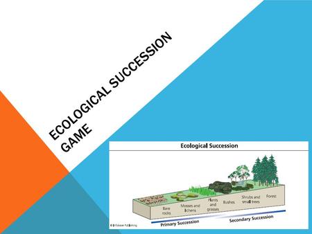 Ecological Succession Game