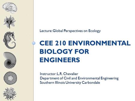 CEE 210 ENVIRONMENTAL BIOLOGY FOR ENGINEERS Lecture: Global Perspectives on Ecology Instructor: L.R. Chevalier Department of Civil and Environmental Engineering.