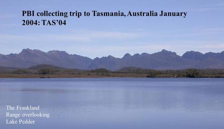 PBI TAS 04 The Frankland Range overlooking Lake Pedder PBI collecting trip to Tasmania, Australia January 2004: TAS’04.