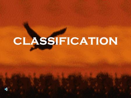 CLASSIFICATION Classification KingdomPhylumClassOrder FamilyGenusSpeciesTaxonomy Dichotomous key Archaebacteria Eubacteria ProtistaPlantaeFungi AnimaliaPhylum.