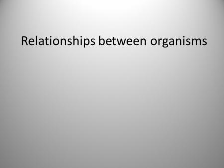 Relationships between organisms. Connections between organisms All living things on the earth are connected in some way. This unit we will study these.